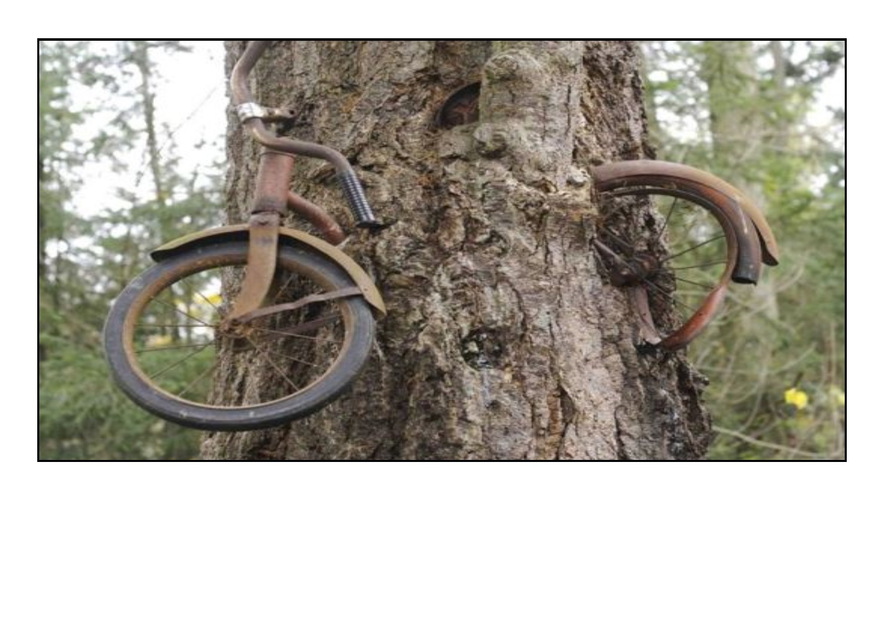 www.ciclisfgroppo.it
